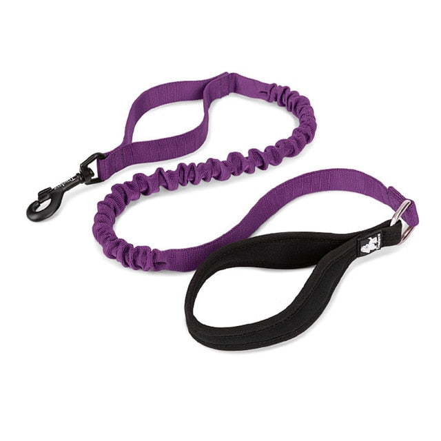 Truelove Bungee Dog Leash