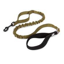 Load image into Gallery viewer, Truelove Bungee Dog Leash

