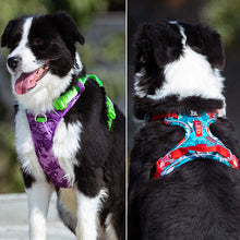 Load image into Gallery viewer, Truelove No Pull Dog Harness
