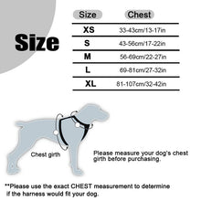 Load image into Gallery viewer, Truelove No Pull Dog Harness
