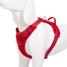 Load image into Gallery viewer, Truelove No Pull Dog Harness
