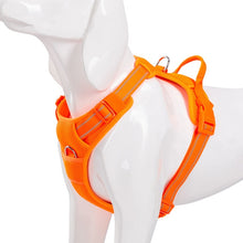 Load image into Gallery viewer, Truelove No Pull Dog Harness

