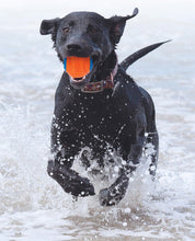 Load image into Gallery viewer, Chuckit Rubber Ball
