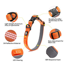 Load image into Gallery viewer, Truelove Reflective Dog Collars
