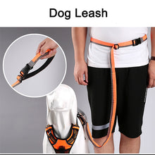 Load image into Gallery viewer, Truelove Elastic Bungee Dog Leash
