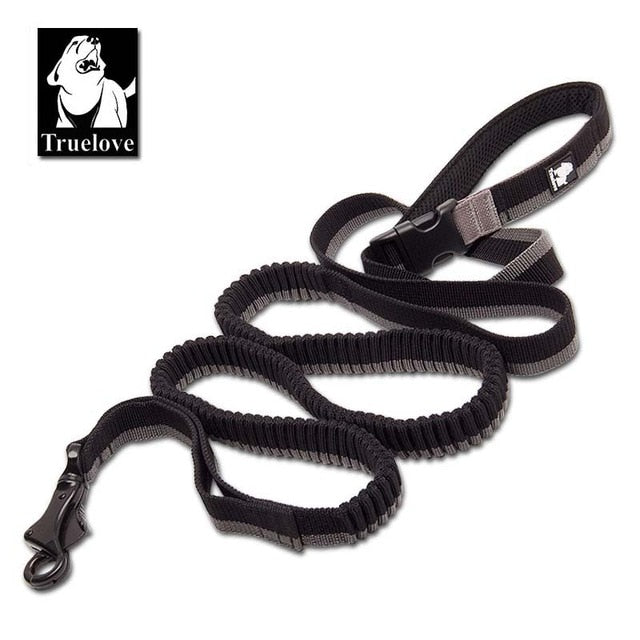 Truelove Elastic Bungee Dog Leash