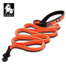 Load image into Gallery viewer, Truelove Elastic Bungee Dog Leash
