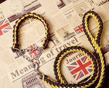 Load image into Gallery viewer, Matching Martingale Collar and Leash Rope Sets
