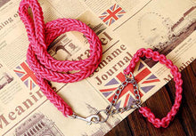 Load image into Gallery viewer, Matching Martingale Collar and Leash Rope Sets

