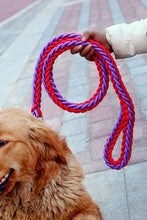 Load image into Gallery viewer, Matching Martingale Collar and Leash Rope Sets
