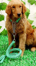Load image into Gallery viewer, Matching Martingale Collar and Leash Rope Sets
