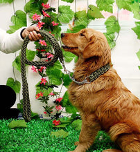 Load image into Gallery viewer, Matching Martingale Collar and Leash Rope Sets
