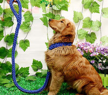 Load image into Gallery viewer, Matching Martingale Collar and Leash Rope Sets
