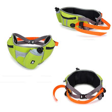 Load image into Gallery viewer, Truelove Multifunctional Waist Bag
