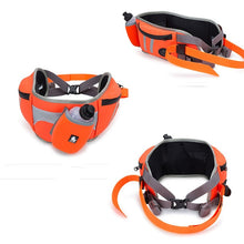 Load image into Gallery viewer, Truelove Multifunctional Waist Bag
