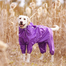 Load image into Gallery viewer, PNW Rain Suit
