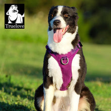 Load image into Gallery viewer, TRUELOVE Pet Double-H Shape Harness
