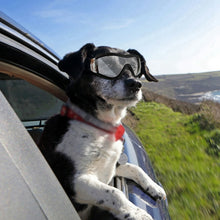 Load image into Gallery viewer, Clear Adventure Doggles
