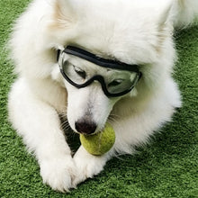 Load image into Gallery viewer, Clear Adventure Doggles
