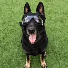 Load image into Gallery viewer, Clear Adventure Doggles
