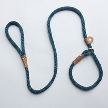 Load image into Gallery viewer, Mountain Climbing Rope Canine Slip lead (6 ft)
