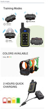 Load image into Gallery viewer, Trainertec PTS1200 LED Remote Dog Training Collar
