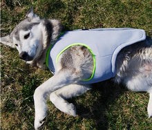 Load image into Gallery viewer, Truelove Pet Cooling Vest
