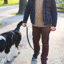 Load image into Gallery viewer, Reflective Dog Leash with Traffic Handle
