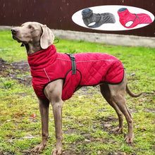 Load image into Gallery viewer, Waterproof Outdoor Dog Jacket
