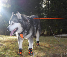 Load image into Gallery viewer, Truelove Anti-Slip Dog Shoes
