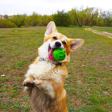 Load image into Gallery viewer, CHASE&#39;N CHOMP Squeaker Ball
