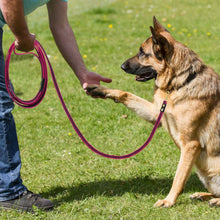 Load image into Gallery viewer, Dog Long Lead Leash for Training Recall and Tracking
