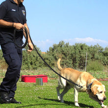 Load image into Gallery viewer, Dog Long Lead Leash for Training Recall and Tracking
