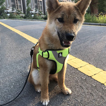 Load image into Gallery viewer, Truelove Adjustable Easy on Dog Harness
