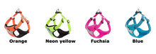 Load image into Gallery viewer, Truelove Adjustable Easy on Dog Harness
