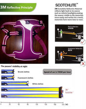 Load image into Gallery viewer, Truelove Adjustable Easy on Dog Harness
