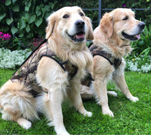 Load image into Gallery viewer, Tourbon Hunting Hound Dogs Vest
