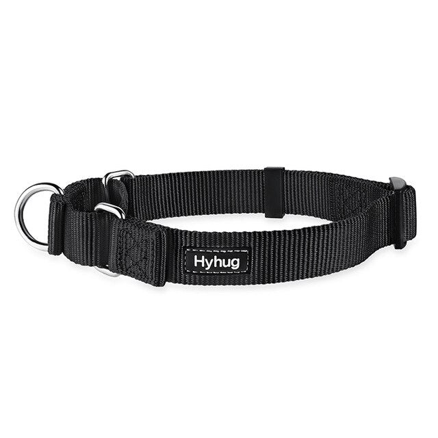 Dog Training Nylon Martingale Collar