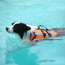 Load image into Gallery viewer, Dog Life Jacket
