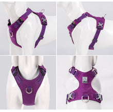 Load image into Gallery viewer, Truelove Lightweight Waterproof Dog Harness
