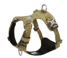 Load image into Gallery viewer, Truelove Lightweight Waterproof Dog Harness
