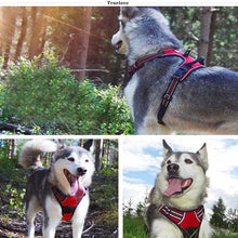 Load image into Gallery viewer, Truelove No Pull Padded Dog Harness
