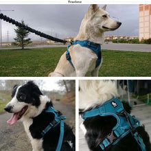 Load image into Gallery viewer, Truelove No Pull Padded Dog Harness
