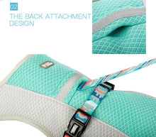 Load image into Gallery viewer, Dog Summer Cooling Vest
