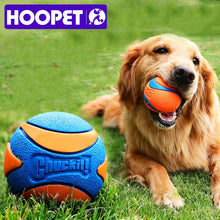 Load image into Gallery viewer, Chuckit Rubber Ball
