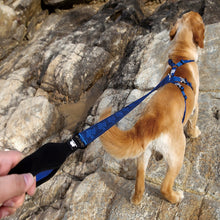 Load image into Gallery viewer, Truelove Dog Leash with Soft Handle
