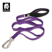 Load image into Gallery viewer, Truelove Dog Leash with Soft Handle
