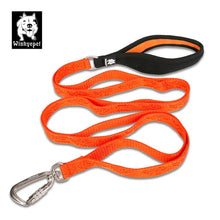 Load image into Gallery viewer, Truelove Dog Leash with Soft Handle
