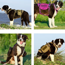 Load image into Gallery viewer, TRUELOVE High Performance Backpack Dog Harness
