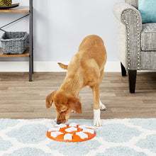 Load image into Gallery viewer, Outward Hound Smart Puzzle Game Dog Toy
